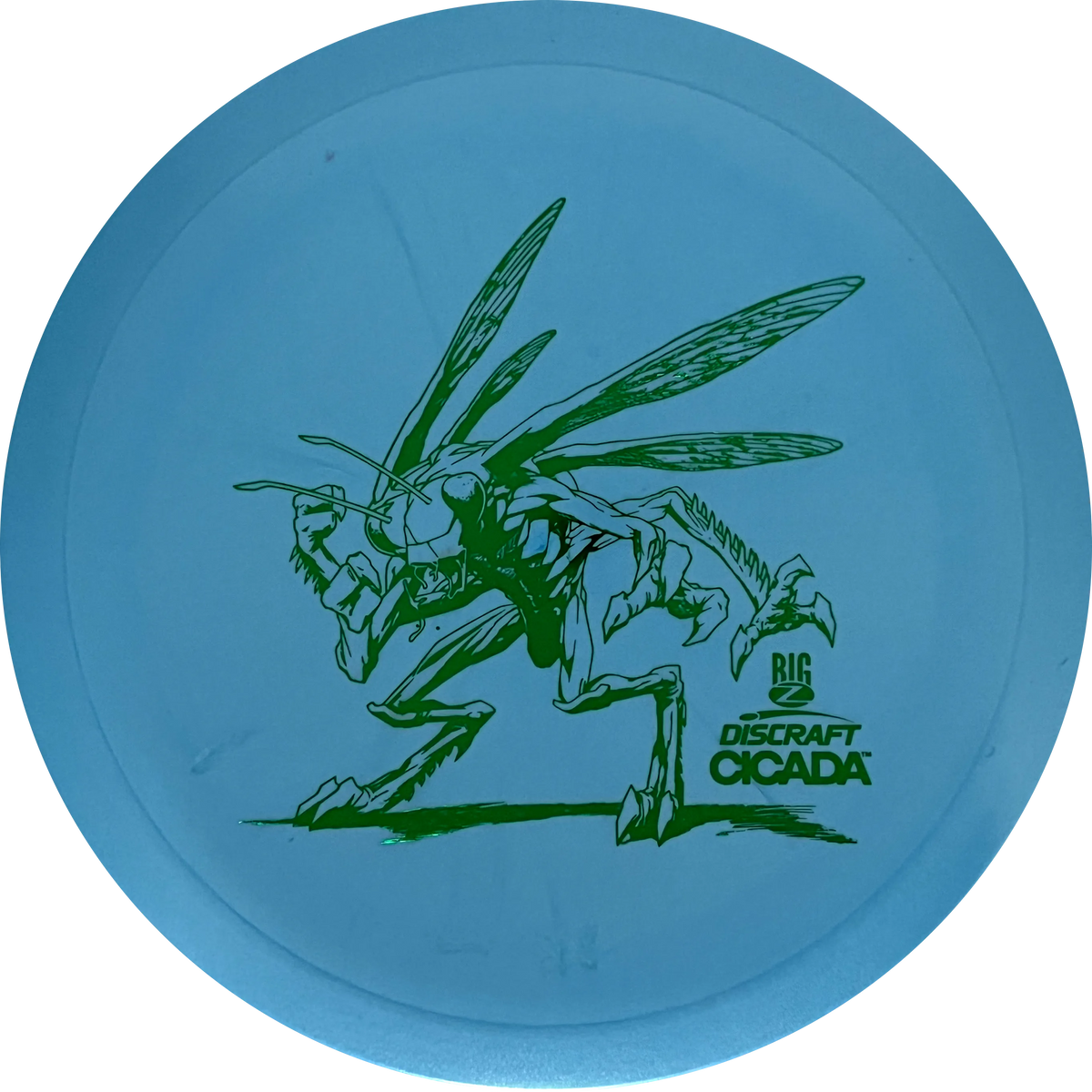 Big Z-Line Cicada