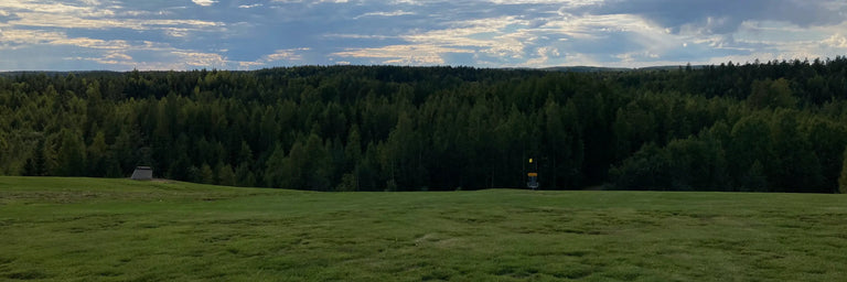 et græsset landskab med en disc golf kurv og granskov i baggrunden