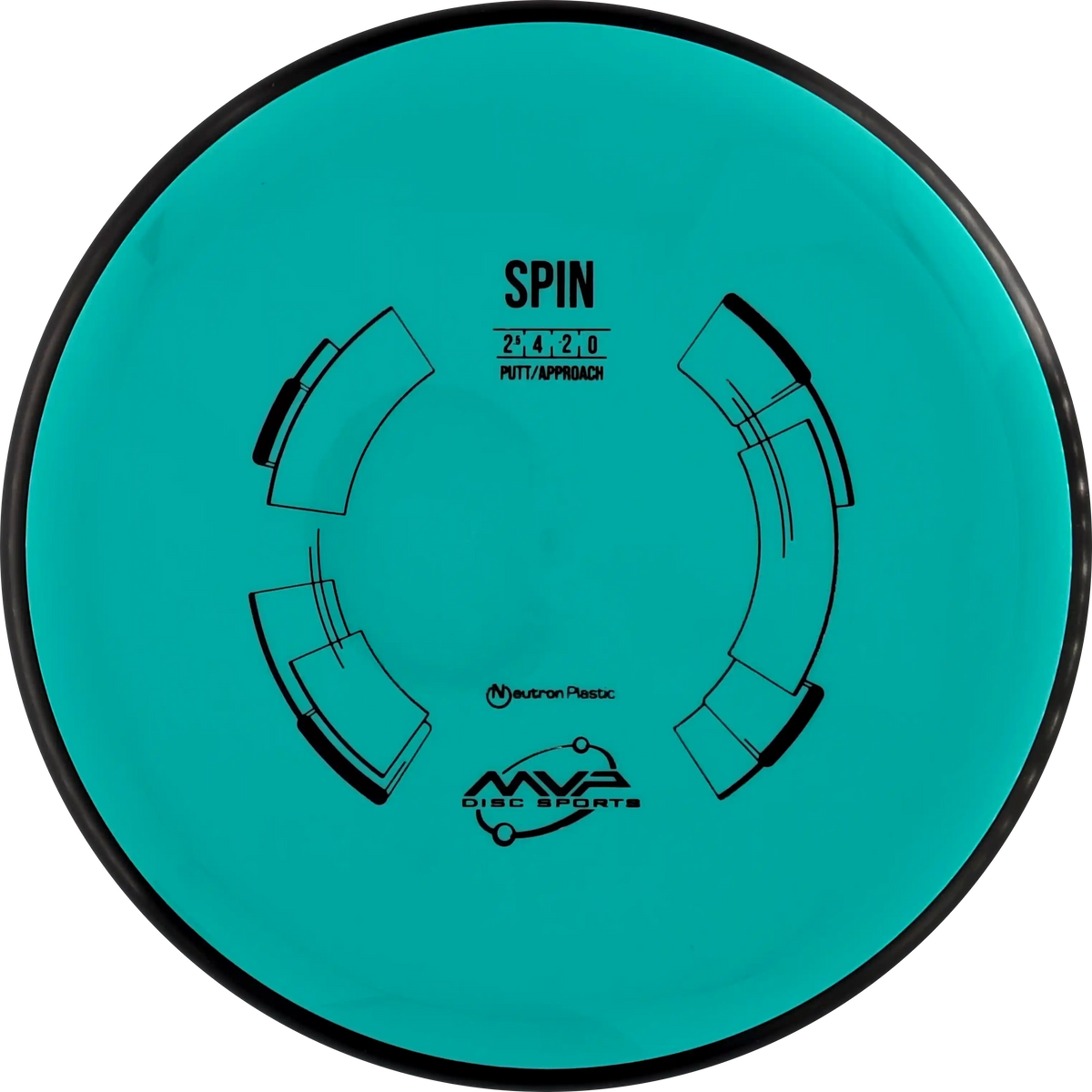 Neutron Spin