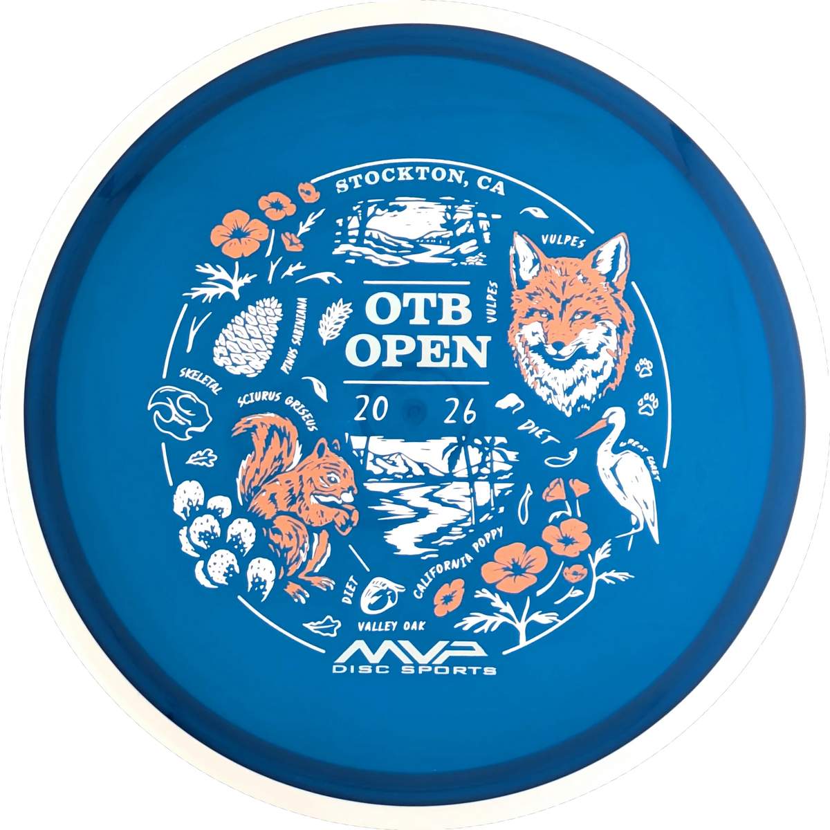 Proton 2026 OTB Open Reactor