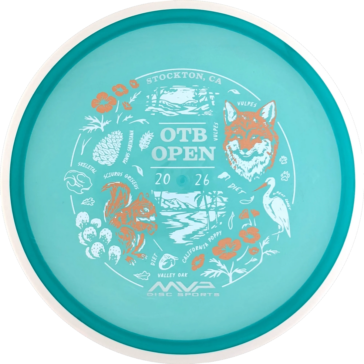 Proton 2026 OTB Open Reactor
