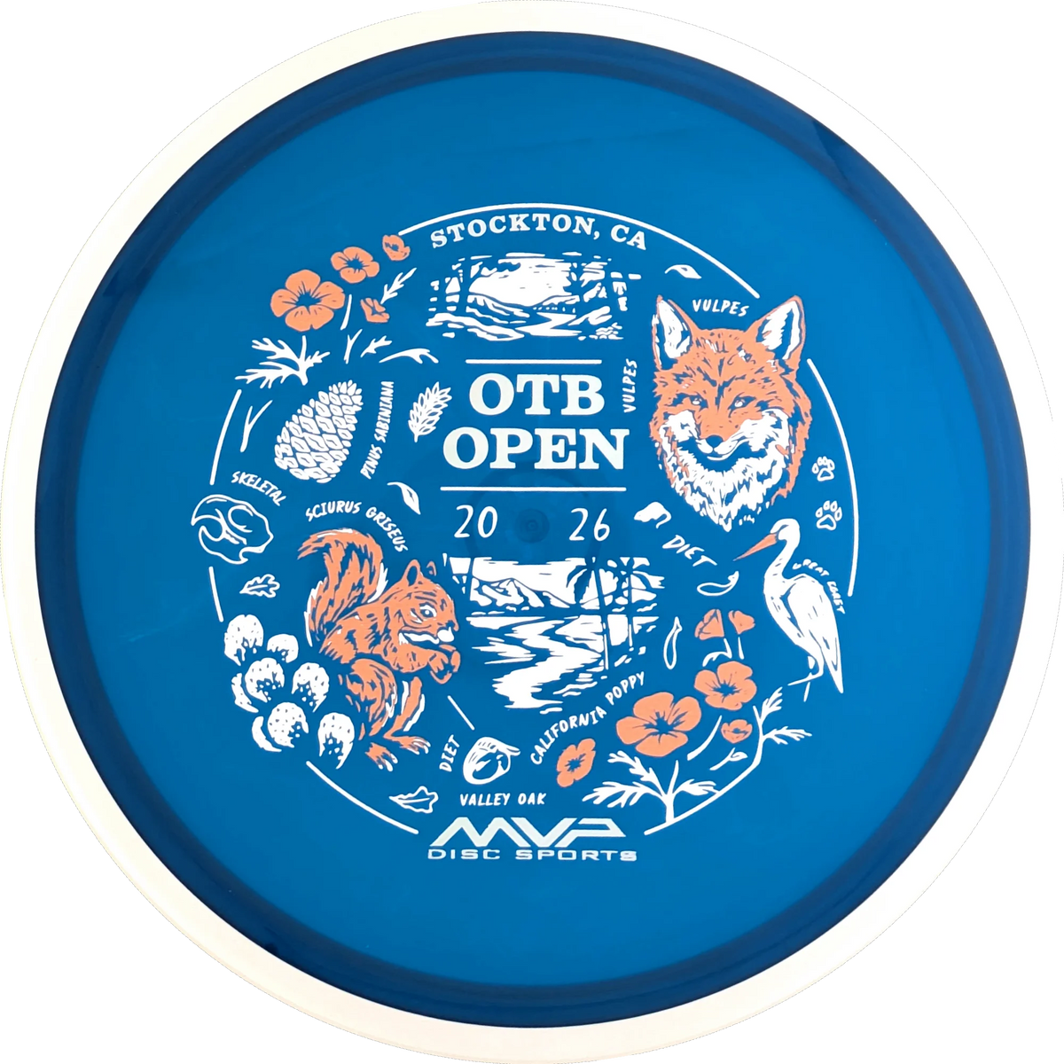 Proton 2026 OTB Open Reactor