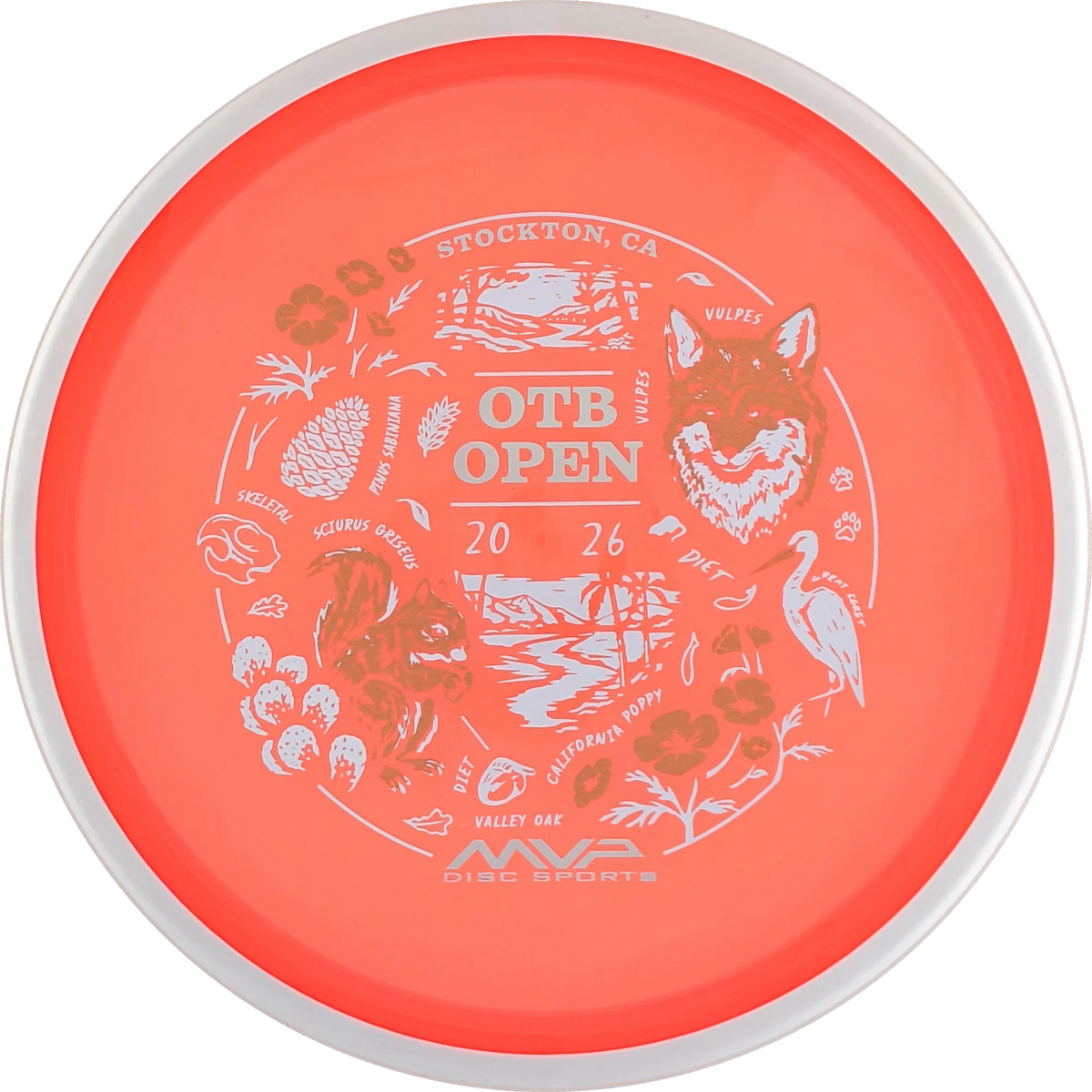 Proton 2026 OTB Open Reactor
