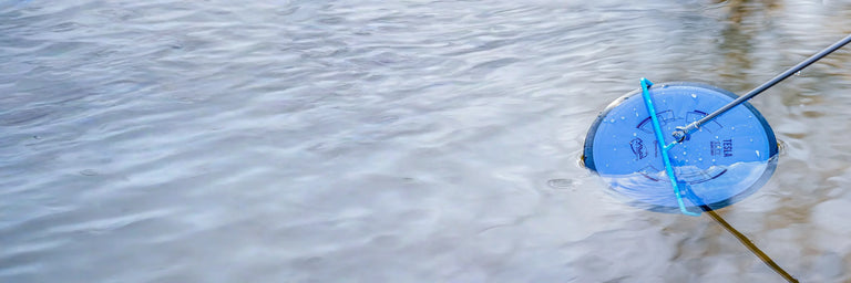 Disc retrivers catching disc in water